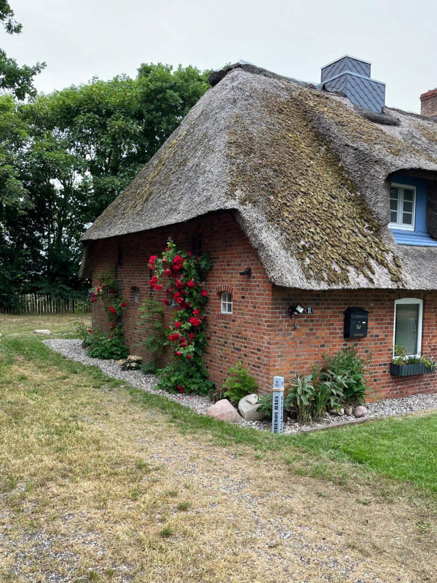 Brunos Haus Villa Emmelsbull-Horsbull Exterior photo